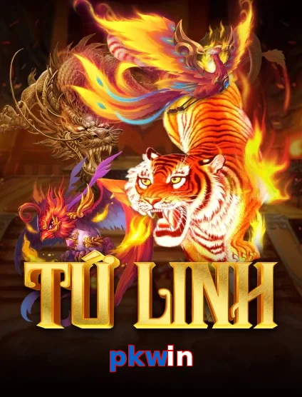 pkwin
